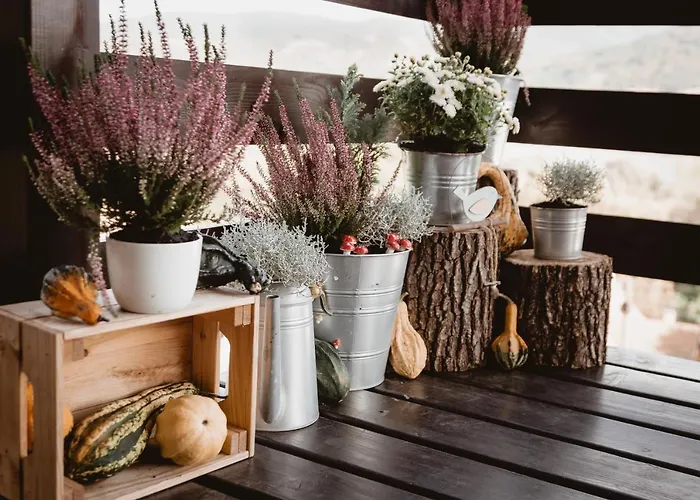 Aranyos Hillside * Nagymaros